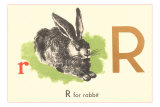 R is for Rabbit