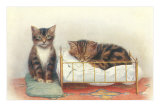Kittens with Crib