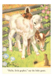 Lambs and Gopher