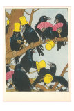 Ravens Socializing