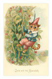 Cat as Jack and the Beanstalk