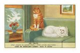Exotic Cats