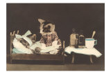 Kitten Nurse