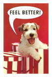 Feel Better, Schnauzer Puppy in Hat Box