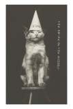Cat in Dunce Cap