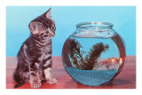 Kitten Watching Goldfish in Bowl