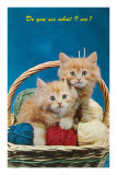 Do You See What I See? Kittens in Basket with Yarn