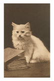 White Kitten with Book