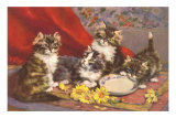 Four Kittens with Saucer and Daisies
