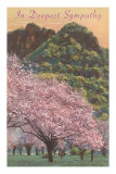 In Deepest Sympathy, Fruit Trees in Bloom