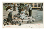 Pigeons in St. Mark's Square, Venice, Italy