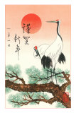 Buy Red-Crowned Cranes at AllPosters.com