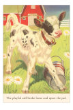 Calf with Pail