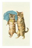 Cats with Umbrella