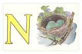 N, Nest