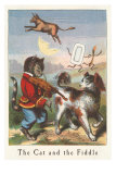 The Cat and the Fiddle
