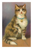 Tabby with Bell