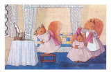 Domestic Squirrels in Bedroom