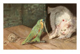 Cat Playing with Parrot