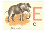 E is for Elephant