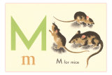 M is for Mice