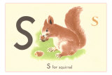 S is for Squirrel