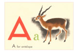 Buy A is for Antelope at AllPosters.com