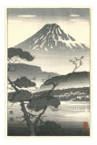 Fujiyama and Trees