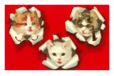 Three Kittens Poking out of Paper