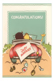 Congratulations, Just Married, Back of Car