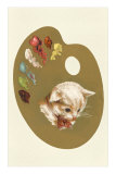 Kitten's Head on Palette