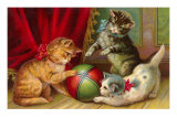 Kittens with Ball