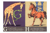 Giraffe and Horse