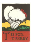 T is for Turkey