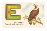 E is an Eagle