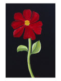 Buy Red Cosmos at AllPosters.com