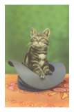 Kitten in a Hat