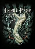 Jimmy Page - Guitar Fabric Poster