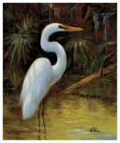 Buy Tropical Egret I at AllPosters.com