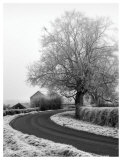 Buy Misty Country Road at AllPosters.com
