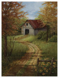 Roadside Barn