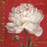 Buy Paris Blossom IV at AllPosters.com