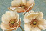 Windflower