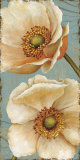 Windflower I