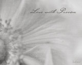 Buy Aimer IV at AllPosters.com