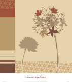 Botanical Shadows I