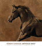 Westward Gallop
