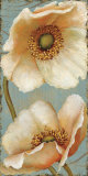 Windflower II