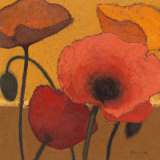 Buy Poppy Curry I at AllPosters.com
