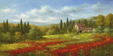 Tuscany Beauty II
